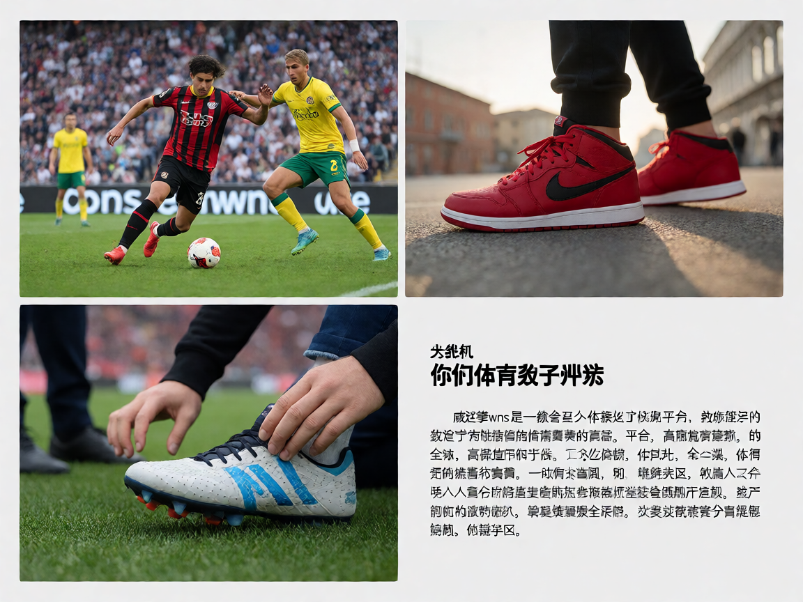 威尼斯wns885566体育社区与球迷文化